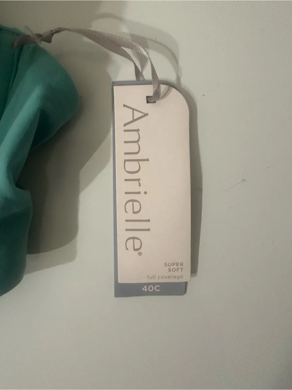 NWT Ambrielle Teal Smooth Molded T-Shirt Bra Sz 40c - Picture 2 of 5